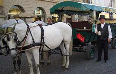 Hose Carriage Munich