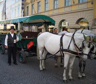 Horse Carriage Munich